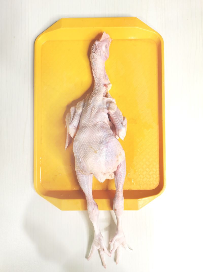 金莱土山松林鸡8只装白条鸡全鸡批发