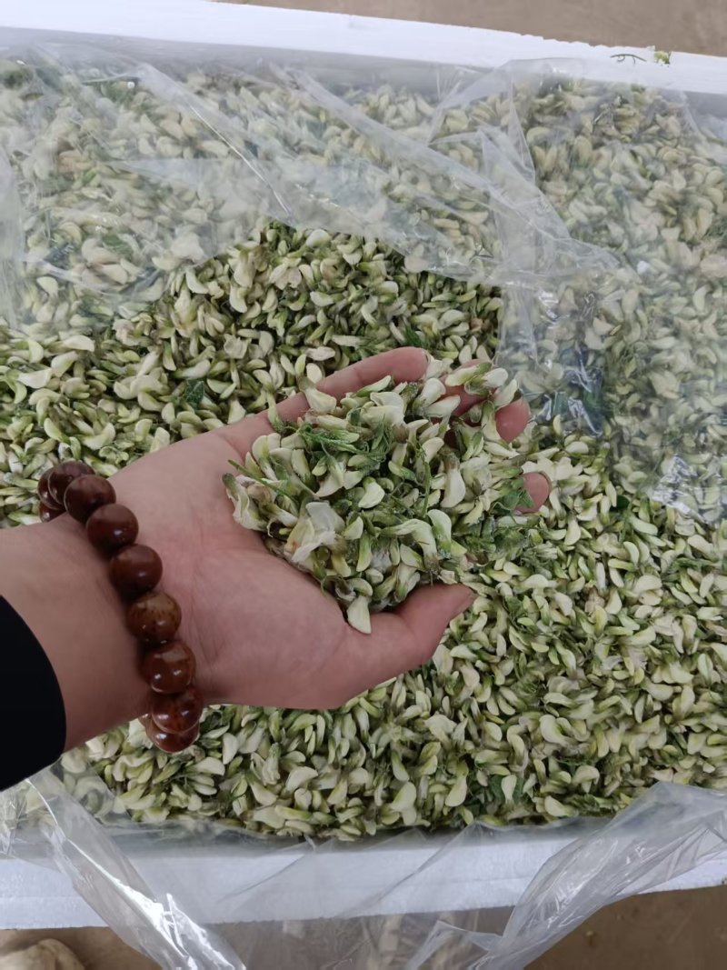 河南野生精品洋槐花，大量供应，可发全国各地，欢迎老板来电