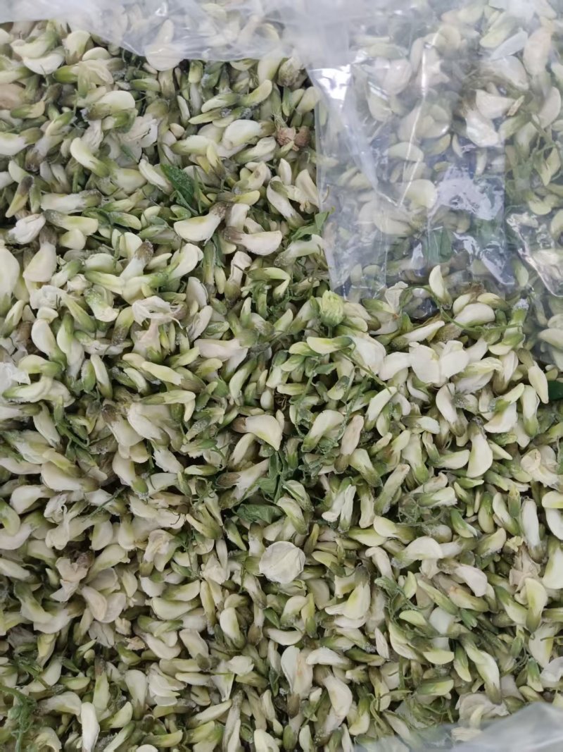 河南野生精品洋槐花，大量供应，可发全国各地，欢迎老板来电