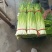 徐州丰县白帽蒜苔量大从优常年对接各大批发市场欢迎联系