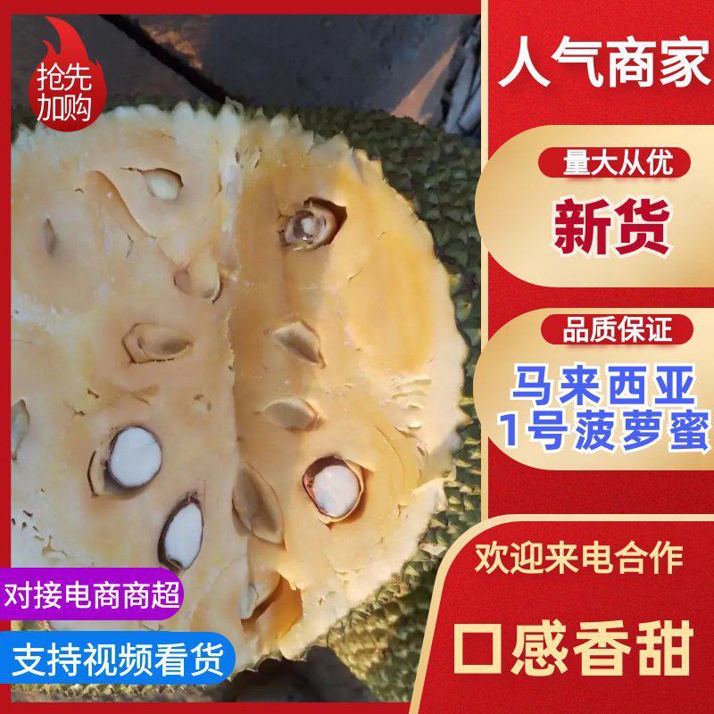 海南乐东优质菠萝蜜，口感好，质量保证，供应各大市场，平台