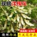 河南野生精品洋槐花，大量供应，可发全国各地，欢迎老板来电
