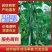 湘特803耐热抗性好瓜条油亮