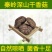 干香菇支持视频看货，可发往全国市场可支持视频看货热销中