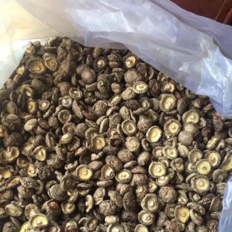 干香菇支持视频看货，可发往全国市场可支持视频看货热销中