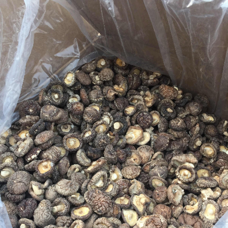 干香菇支持视频看货，可发往全国市场可支持视频看货热销中