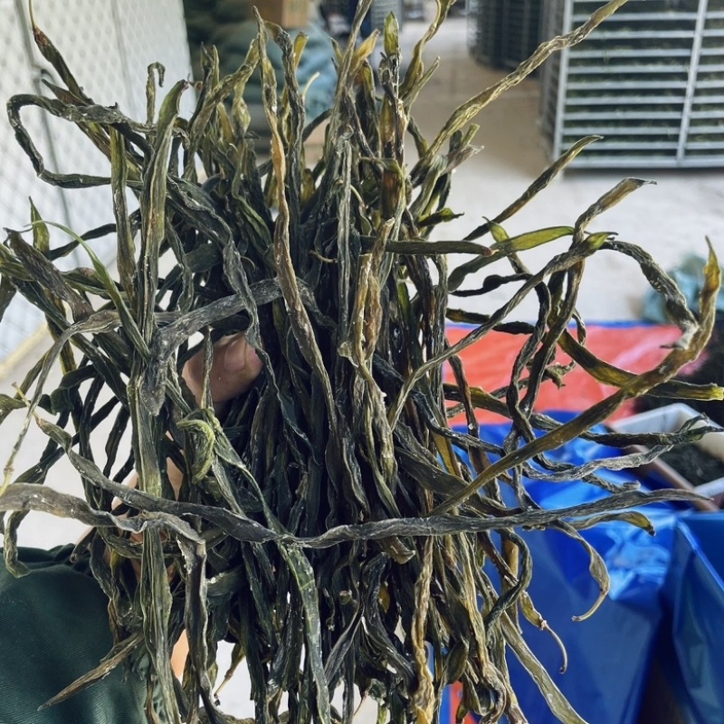 陕西汉中洋县干豇豆货源充足，热销中