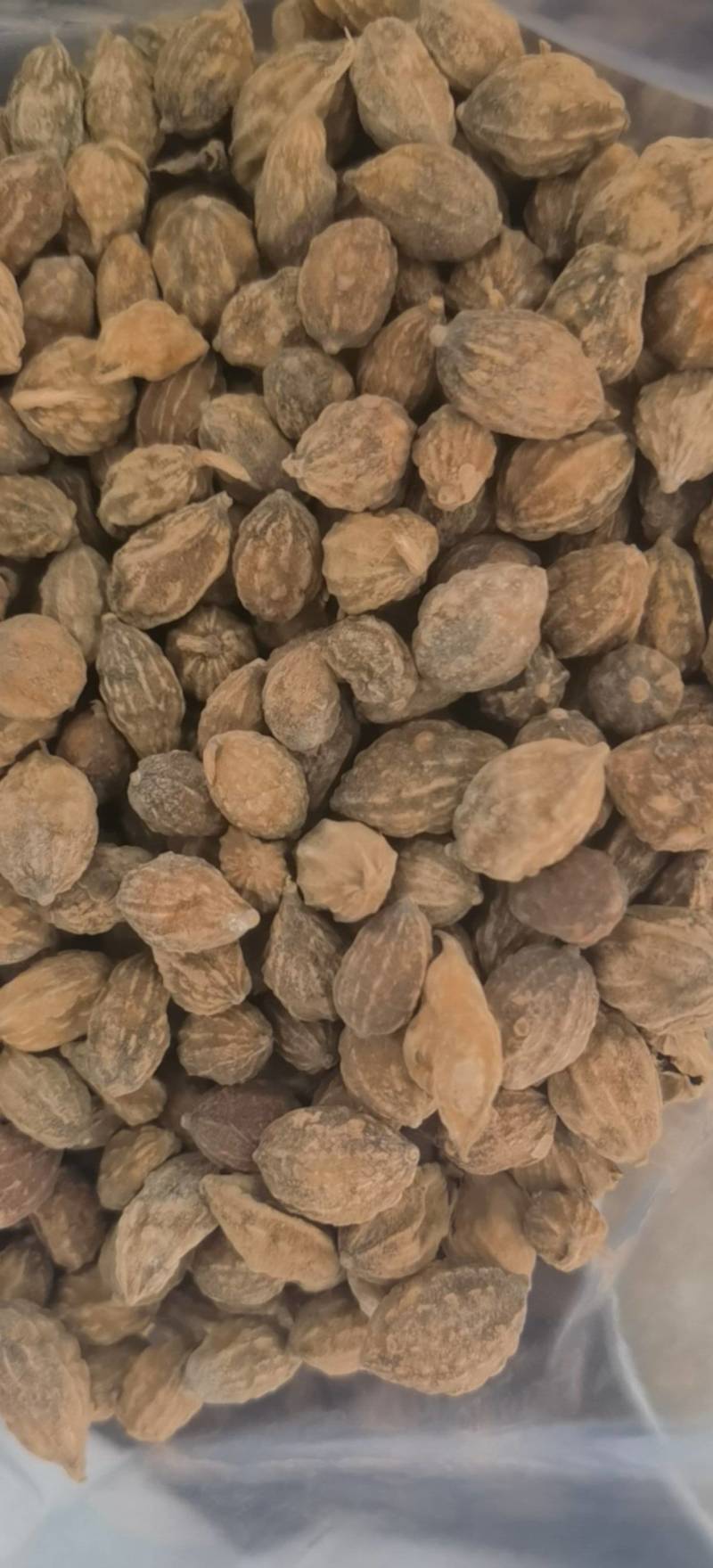 益智仁选海南货关书药业批发各种规格中药材