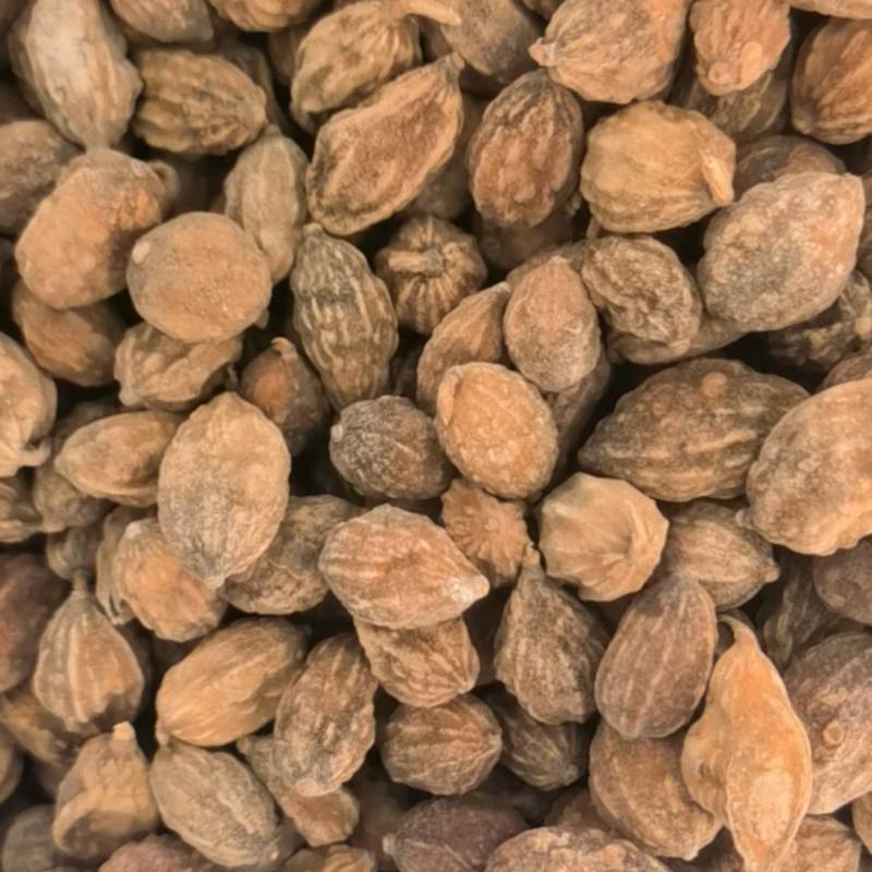 益智仁选海南货关书药业批发各种规格中药材