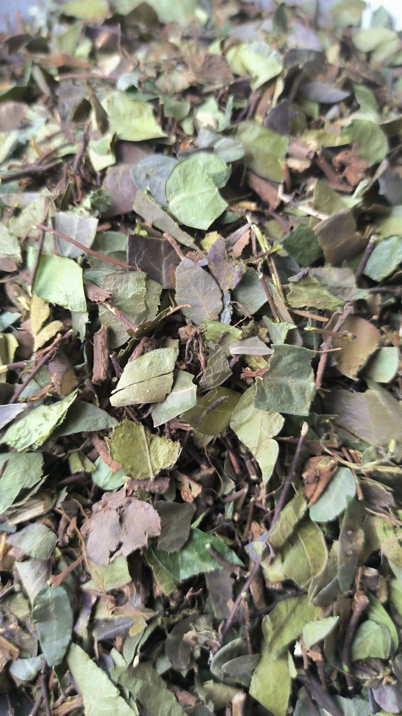 络石藤中药材批发络石藤质量保证量大从优