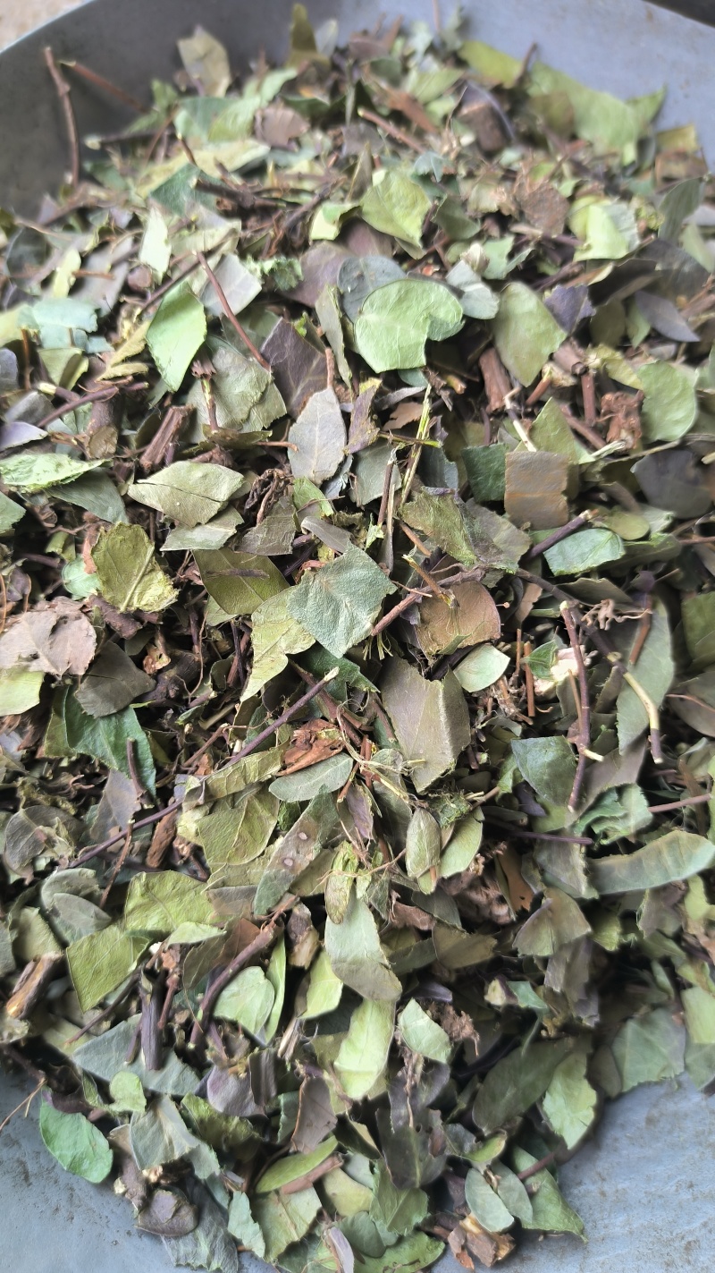 络石藤中药材批发络石藤质量保证量大从优