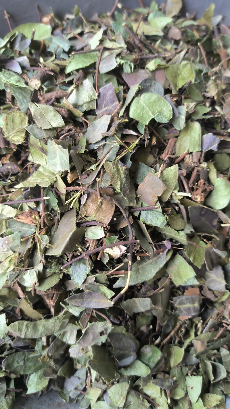 络石藤中药材批发络石藤质量保证量大从优