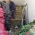 山东菏泽陆地香菜大量上市支持电商平台各大市场全国发货