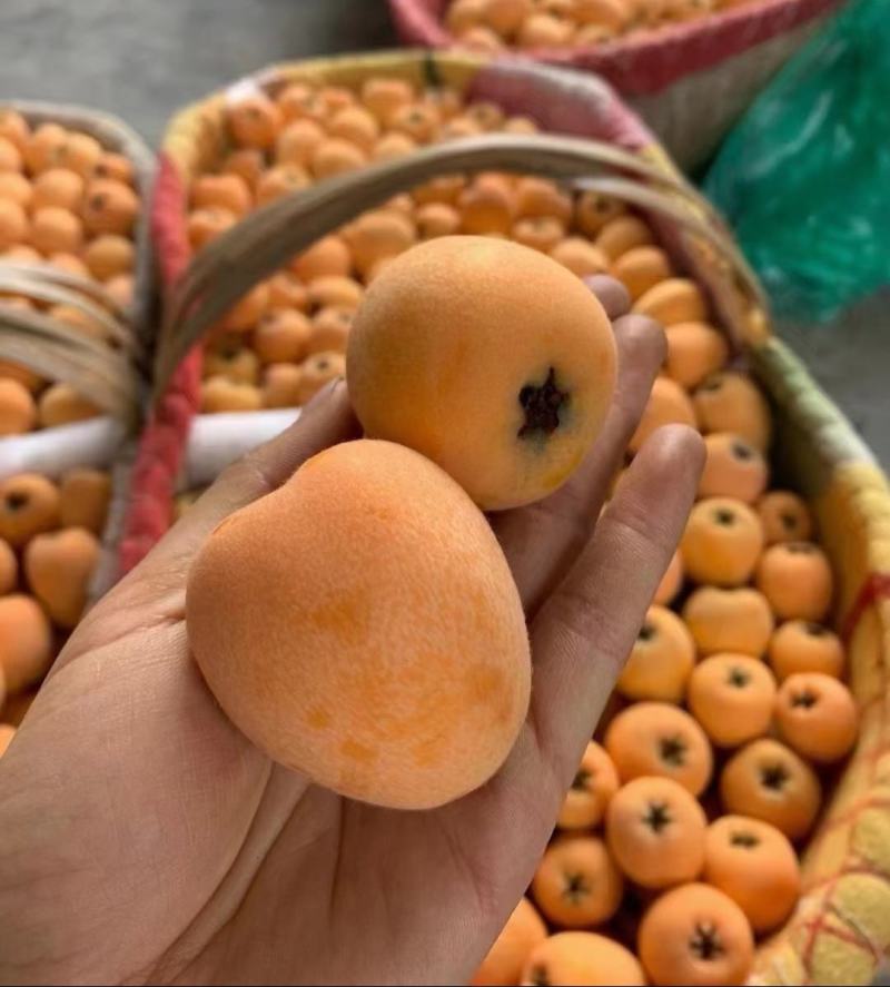 新鲜枇杷