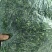 【热卖】河南荠菜馅，可供应食品加工厂，欢迎咨询联系