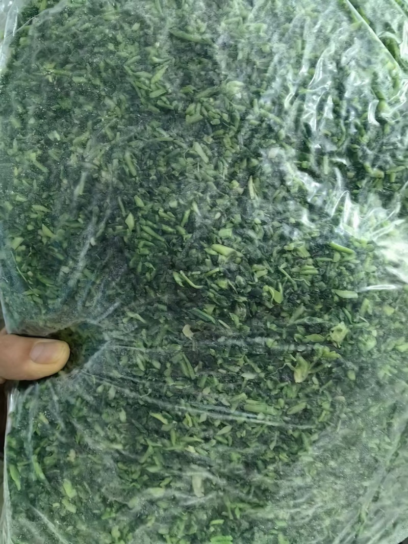 【热卖】河南荠菜馅，可供应食品加工厂，欢迎咨询联系