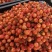 镇平万亩樱桃基地，北京白专业代办质量有保证，价格市场低