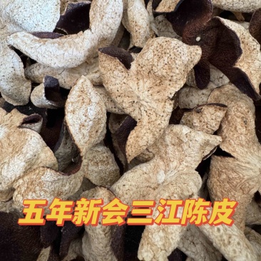新会陈皮源头批发老陈皮五年陈皮茶茶枝柑