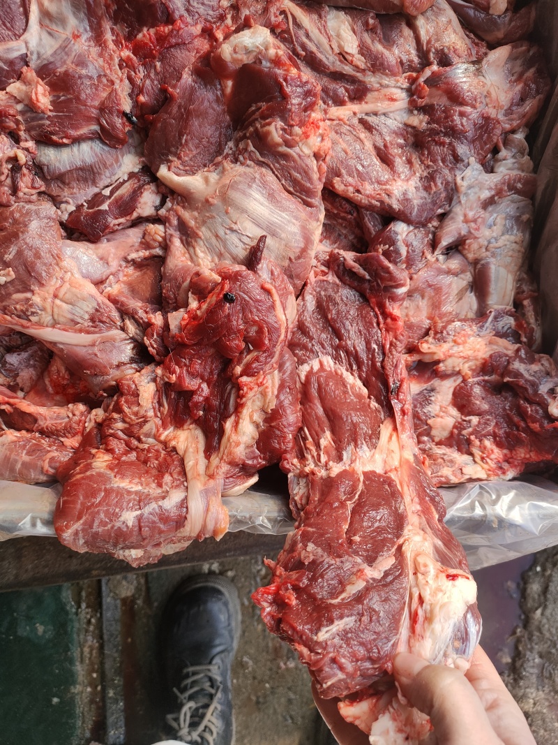 源头厂家直销牛头肉，牛嘴，牛脸肉等等品质保障