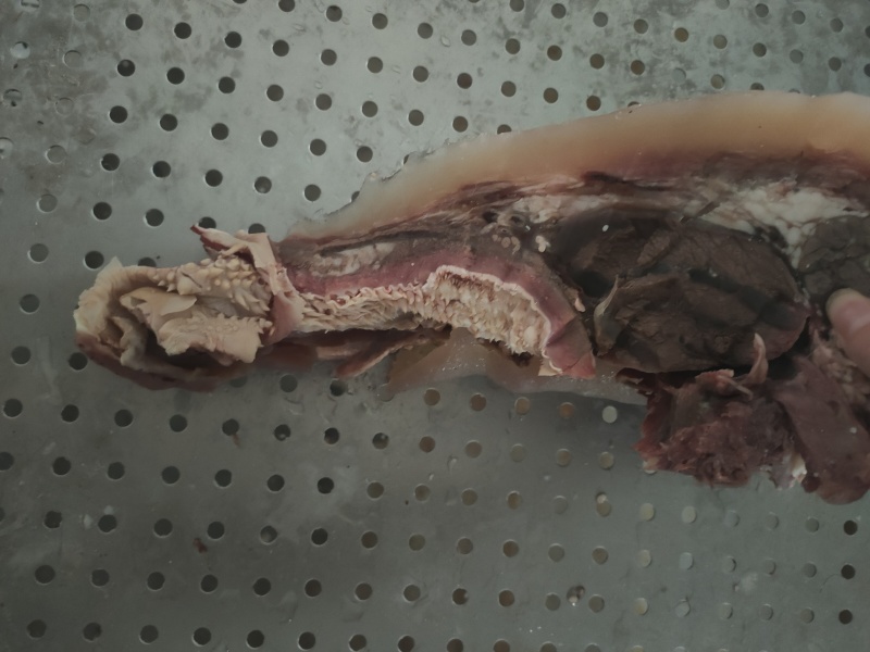 源头厂家直销牛头肉，牛嘴，牛脸肉等等品质保障