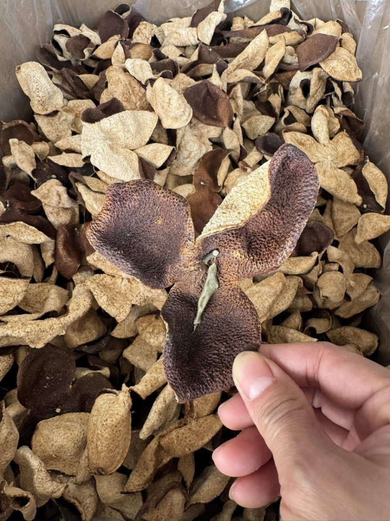 新会陈皮源头批发老陈皮五年陈皮茶茶枝柑