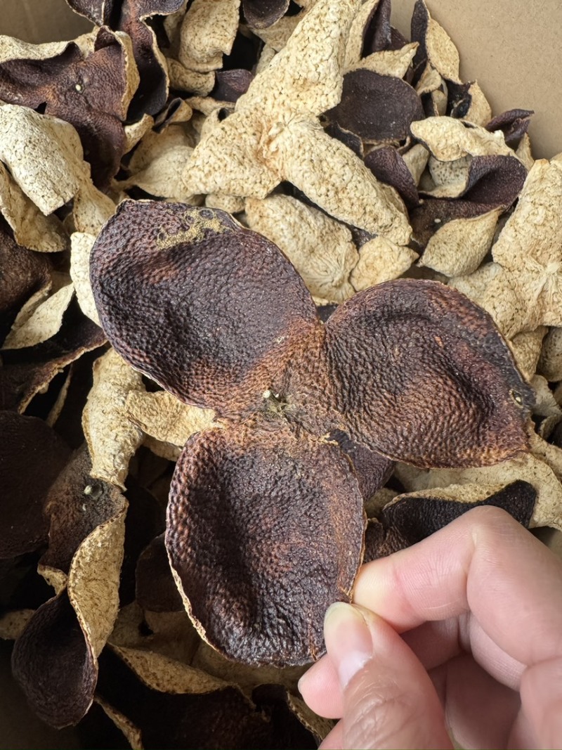 新会陈皮源头批发老陈皮五年陈皮茶茶枝柑