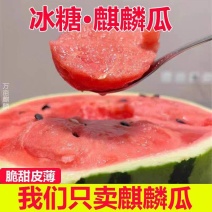 太和美都8424无籽/麒麟西瓜/台农种植/商超精品/全国
