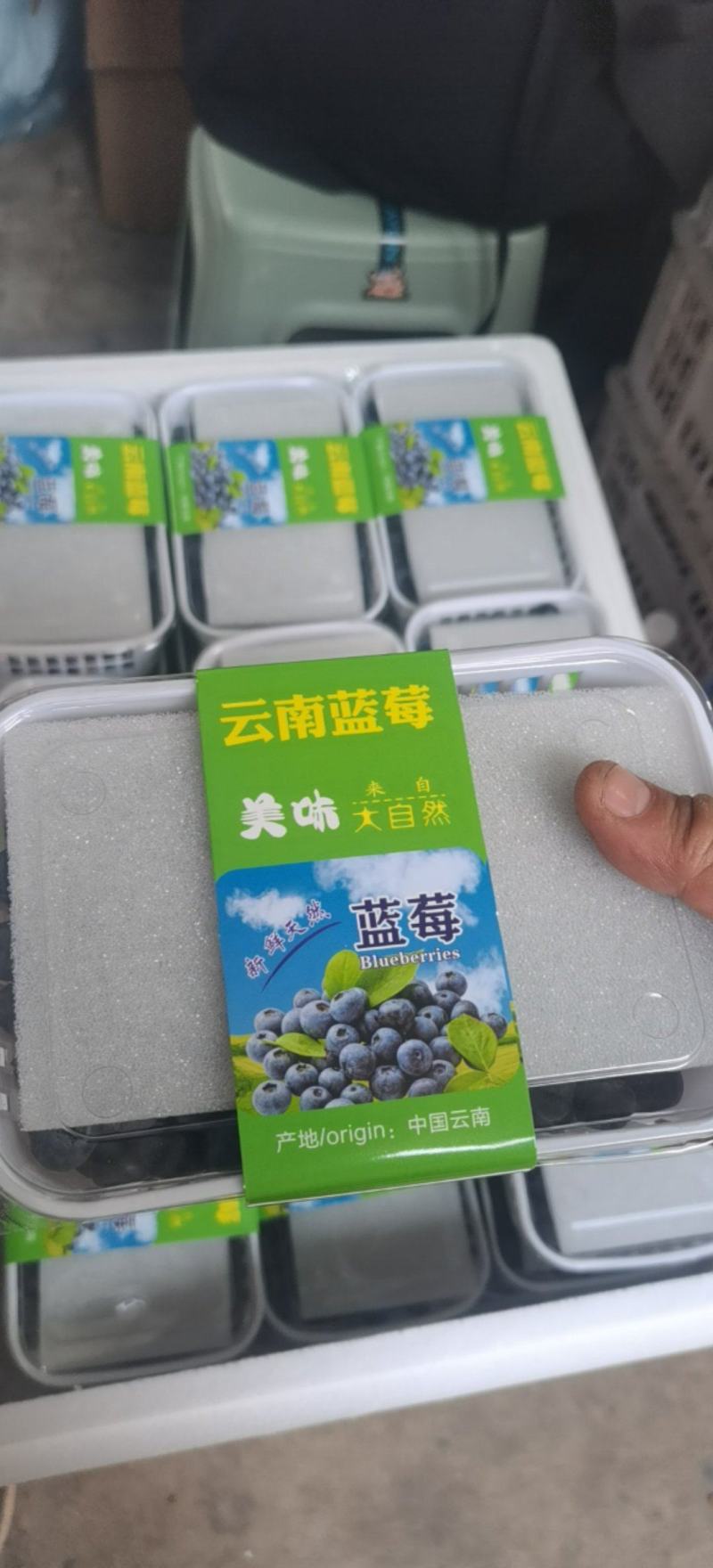 L25蓝莓云南蓝莓产地现货，规格齐全可视频看货