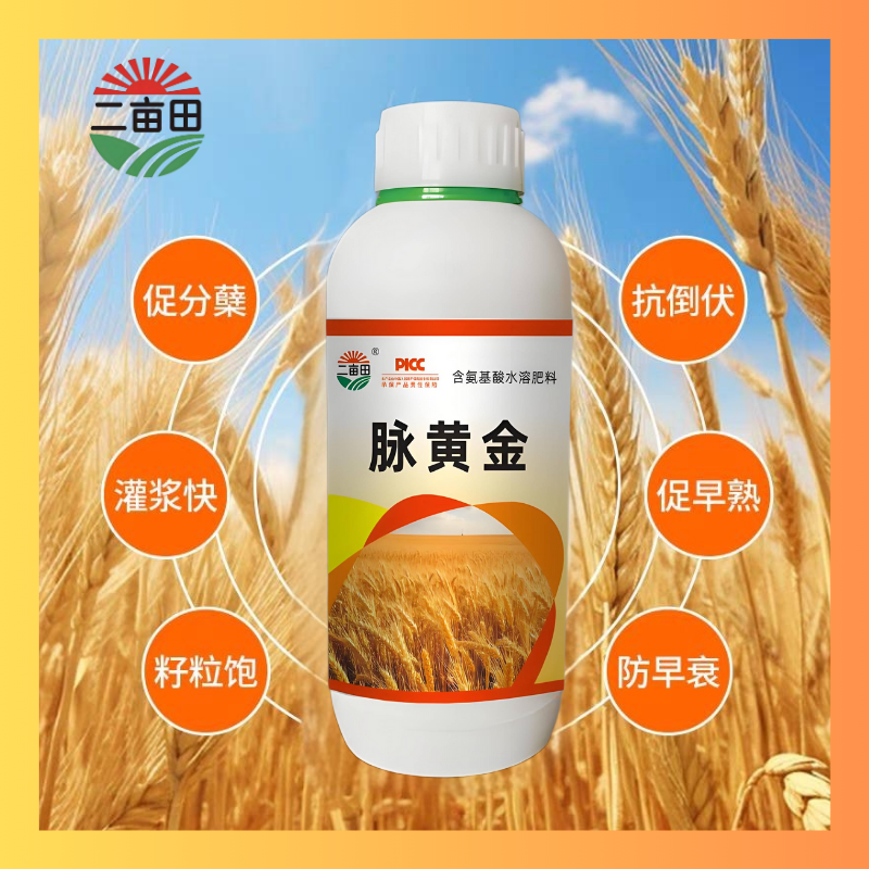 脉黄金：增产促进籽粒发育，叶片厚实，提高抗逆性。