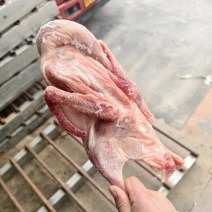 大三花品种，白条鹅不良鹅随机发货，一箱净重38斤