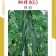 湘特803耐热抗性好瓜条油亮