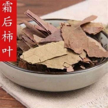 【实力商家】柿子叶霜后柿子叶批发零售
