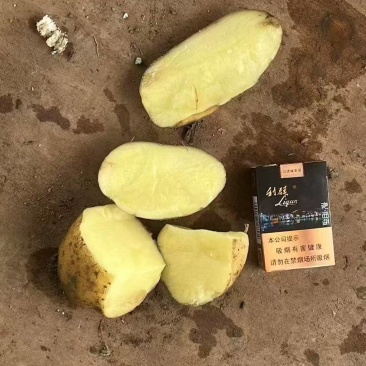 精品优质沃土，货源稳定，保质保量