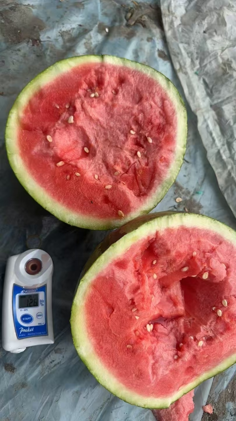 麒麟西瓜产地直发一手货源