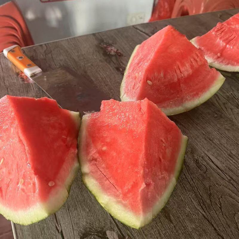 麒麟西瓜产地直发一手货源