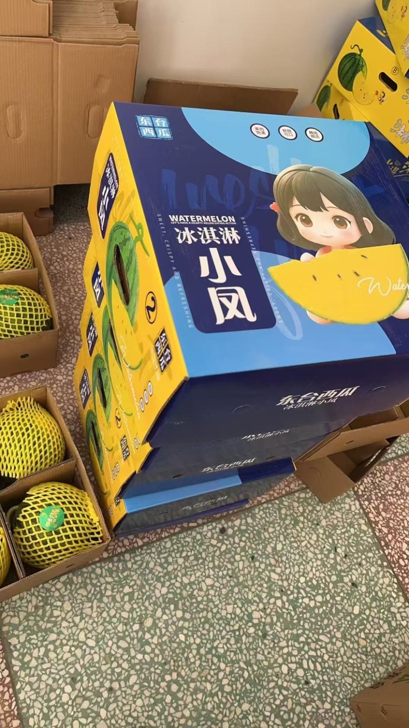 特小凤西瓜产地江苏基地直发可议价电话联系