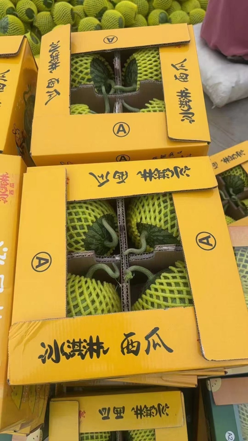 特小凤西瓜产地江苏基地直发可议价电话联系