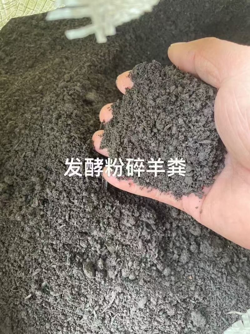 有机肥粉碎烘干厂家直销均有货可电话联系