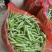 青豌豆荚，9号11，青果，老果，供应商超，市场