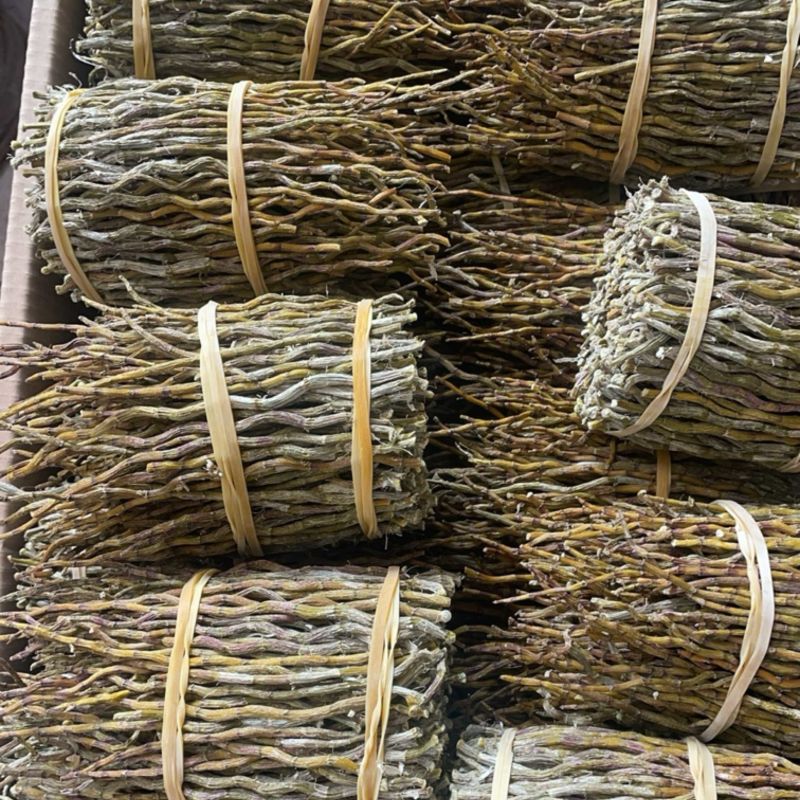 云南铁皮石斛捆条1斤起批发一手货源