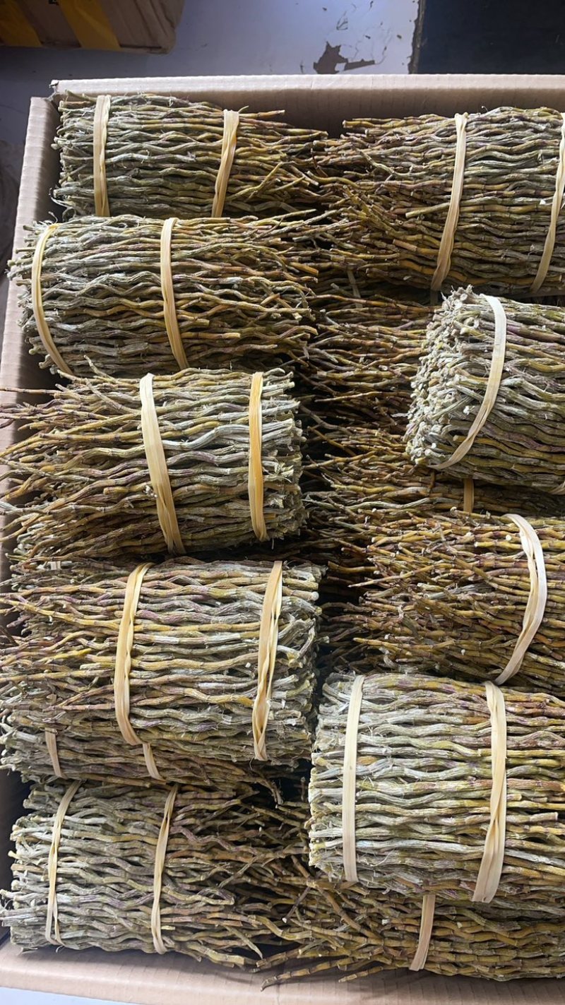 云南铁皮石斛捆条1斤起批发一手货源