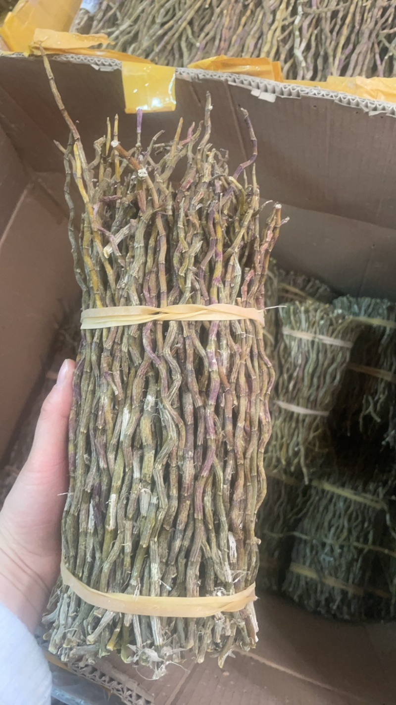 云南铁皮石斛捆条1斤起批发一手货源