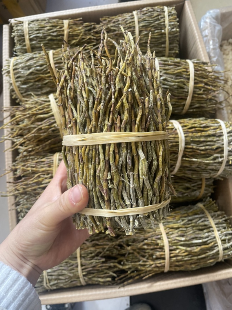 云南铁皮石斛捆条1斤起批发一手货源