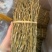 云南铁皮石斛捆条1斤起批发一手货源