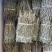 云南铁皮石斛捆条1斤起批发一手货源