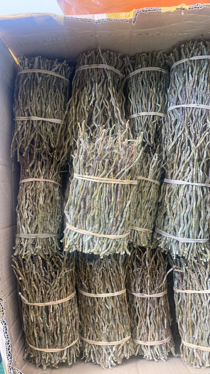 云南铁皮石斛捆条1斤起批发一手货源