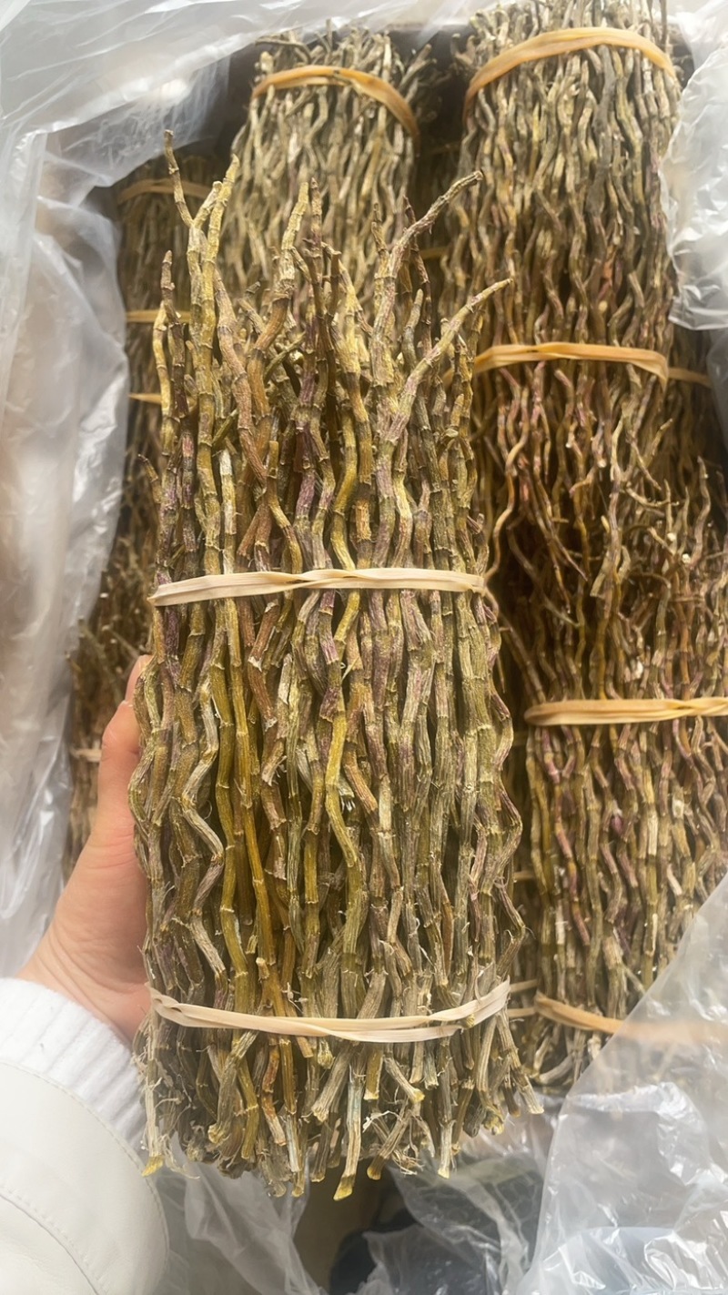 云南铁皮石斛捆条1斤起批发一手货源