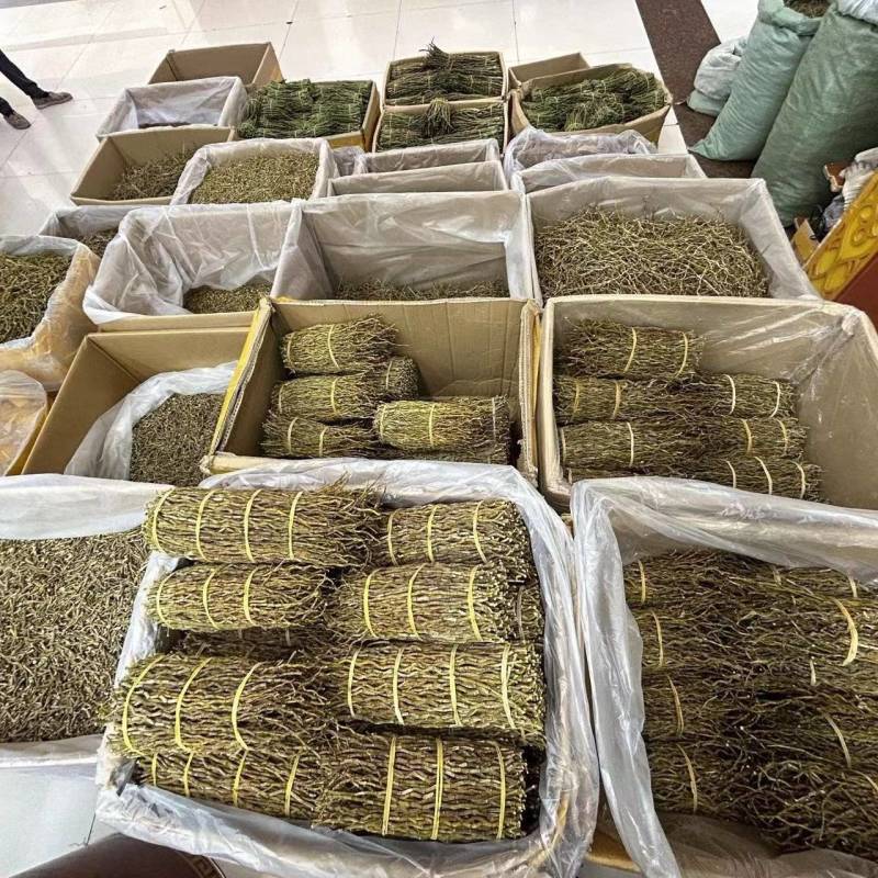 铁皮石斛干条规格齐全铁皮石斛可供实体店批发零售