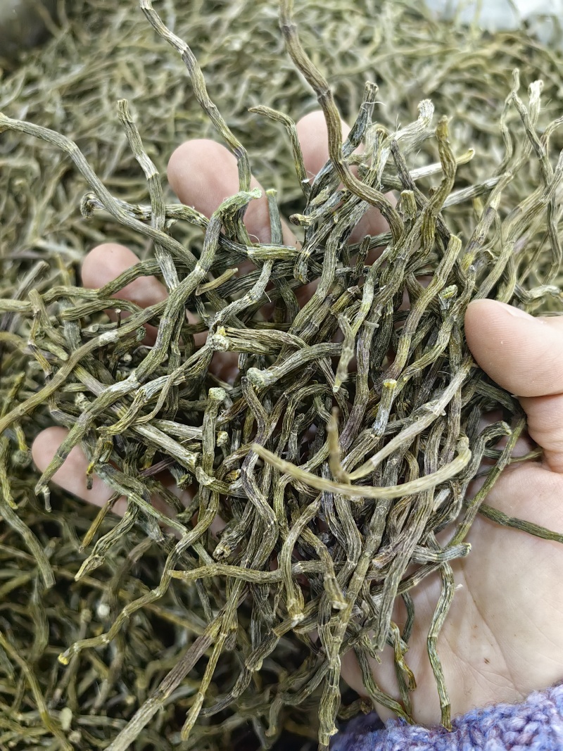 铁皮石斛干条规格齐全铁皮石斛可供实体店批发零售