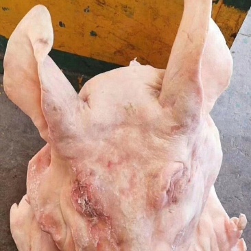 带耳猪头